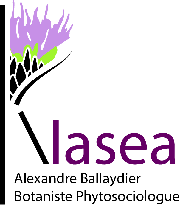 logo couleur Klasea